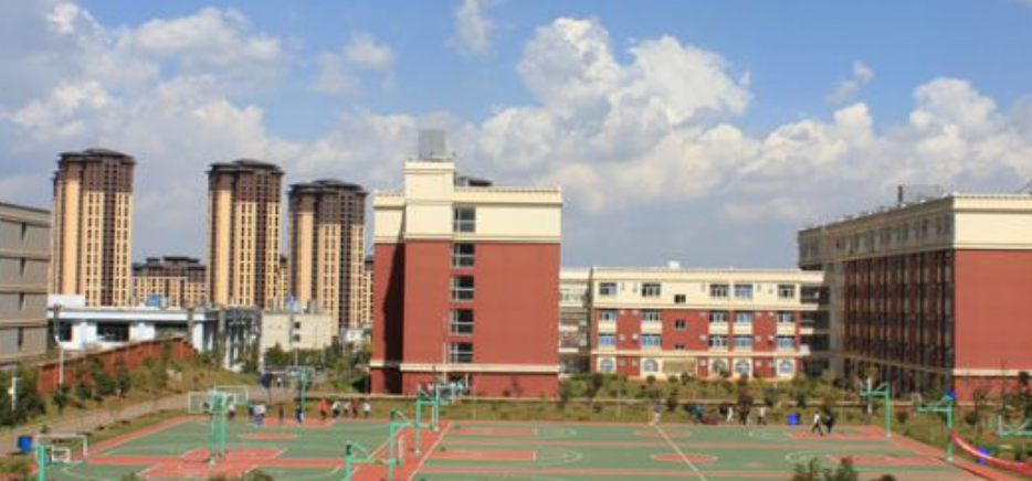 2025年云南外事外语职业学院历年分数线解读