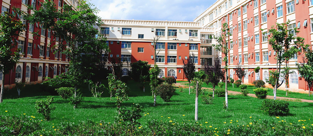 2025年云南外事外语职业学院招生办：开启多元成才新路径