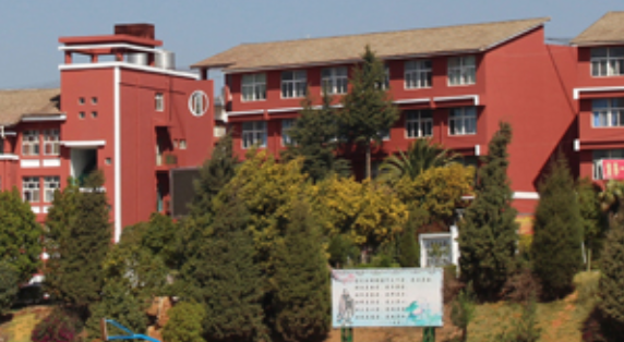 云南新兴职业学院管理模式探析：高效决策，共创校园美好明天