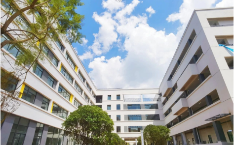 云南西点文化学校究竟好不好？全面解析带你深入了解