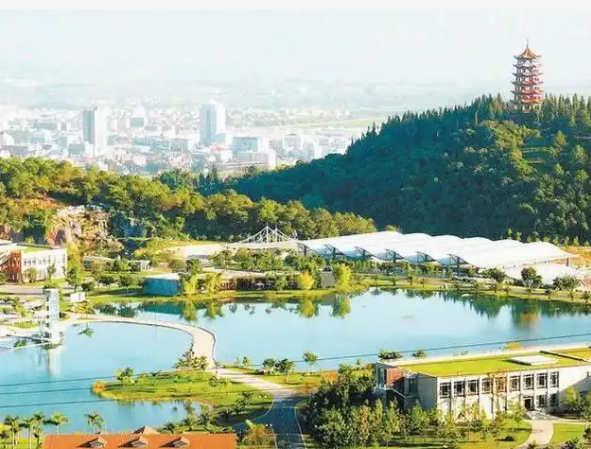 庆来学校教学质量卓越，助力学子迈向成功之路