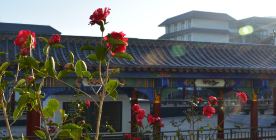 昆明卫生职业学院2025年三年制中专：奠基医学之路，启航职业生涯！