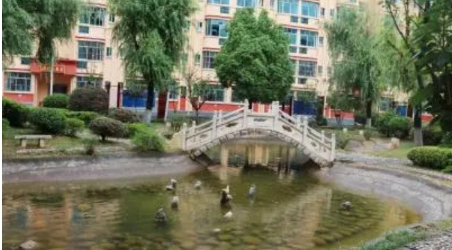 曲靖天人高级中学高补怎么样？深度剖析教学质量与服务！