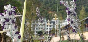 2025昆明卫生职业学院五年制大专：筑梦医学，开启未来之旅！