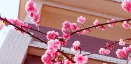 昆明市卫生学校2025年招生要求详解：助力您迈入医疗卫生领域