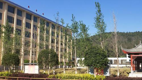 2025年云南省最好的10所民办高中有哪些？