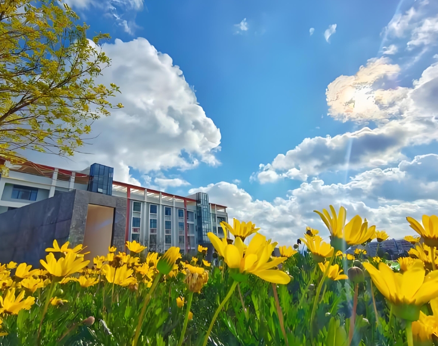 云南轻纺职业学 院2025年五年一贯制大专好吗：值得信赖的求学佳选