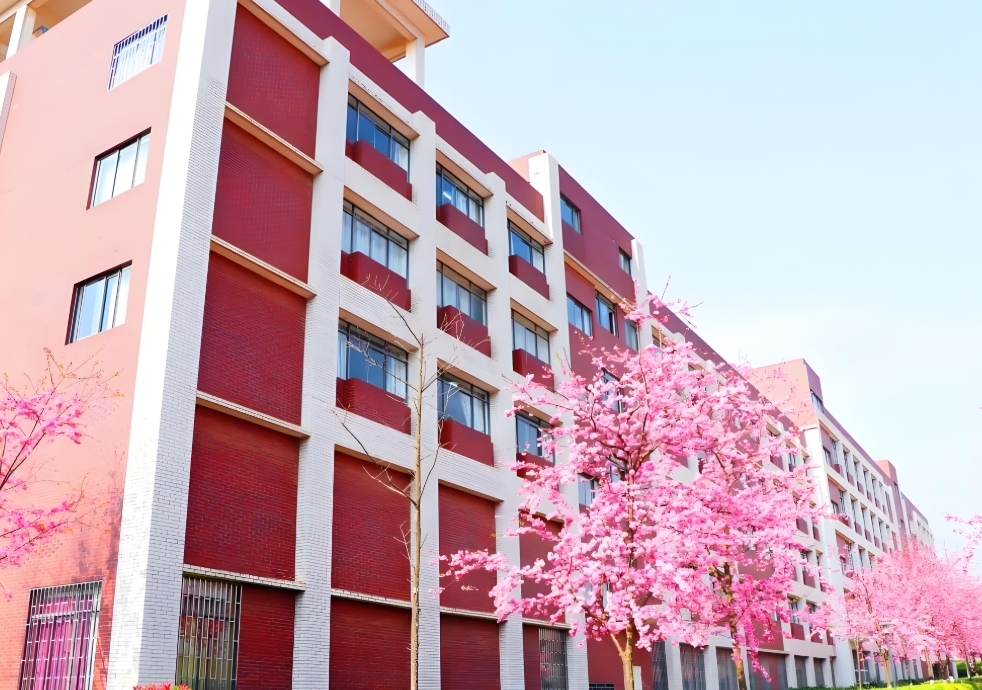 昆明市卫生学校2025年三年制中专热门专业：通往未来的多元路径