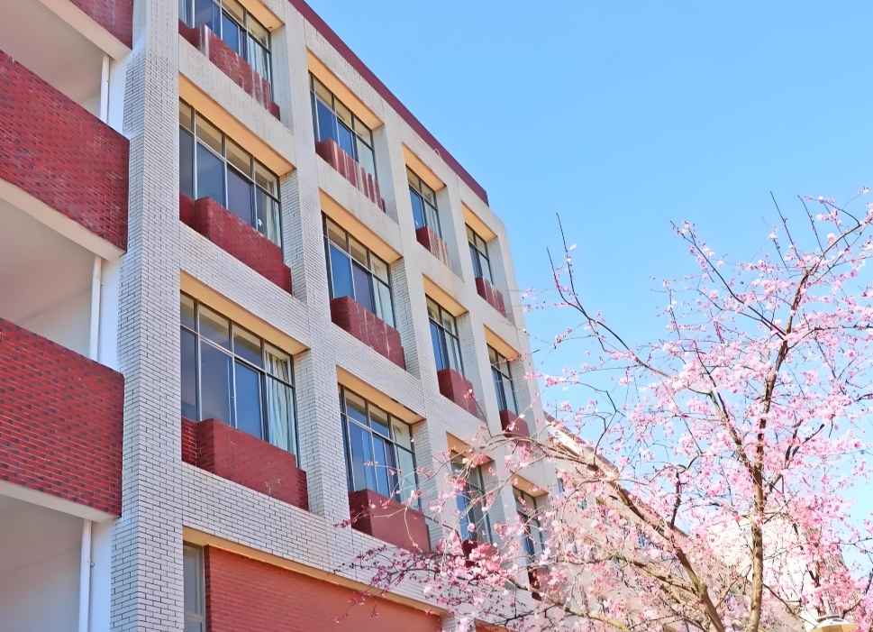 昆明市卫生学校职教高考2025年政策解读：开启求学新征程