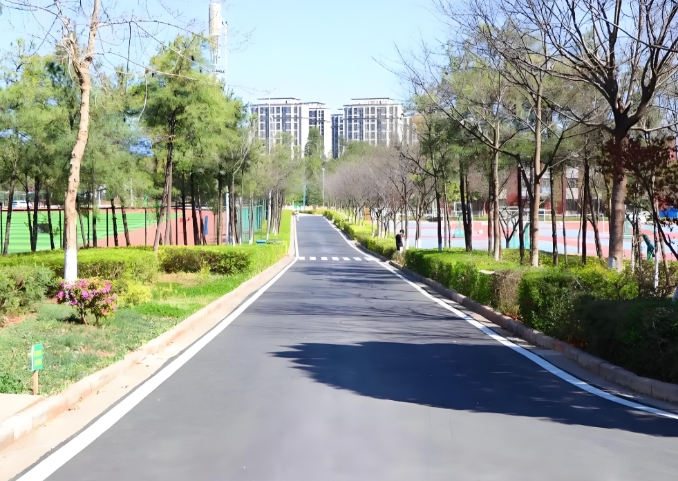 昆明市卫生学校2025年职教高考班报考须知：开启职业梦想的钥匙