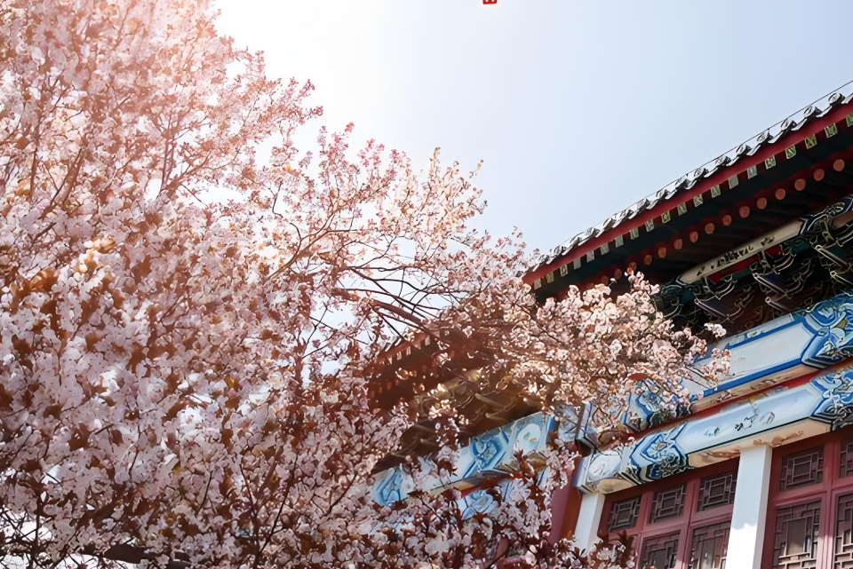 2025年昆明法务应急管理职业学校中专学费贵不贵：成本与价值的考量