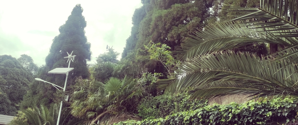 探索 2025年昆明技师学院职教高考班招生网：开启教育新征程