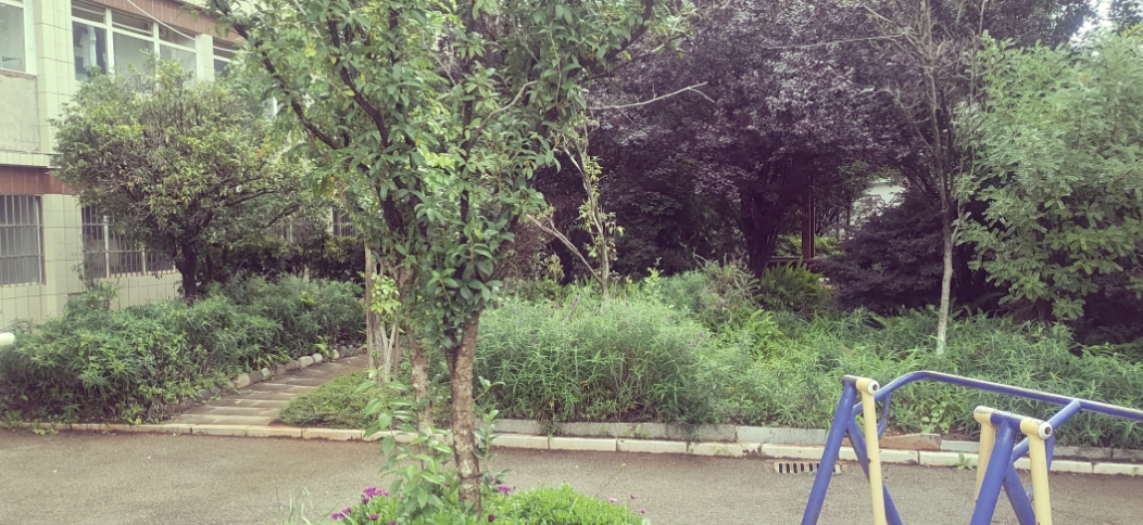 2025年昆明技师学院职教高考招生电话：开启求学之门的热线