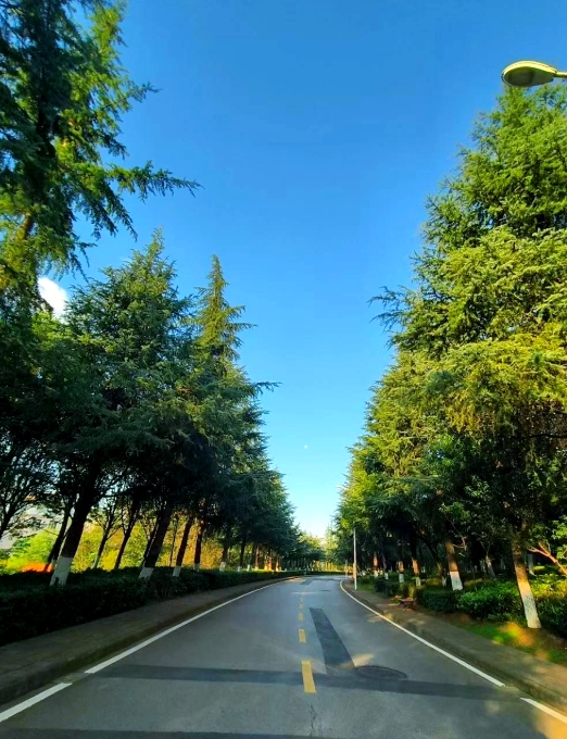 2025年云南技师学院三年制中专欢迎您：开启多元精彩未来