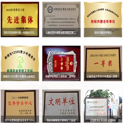 学校荣誉