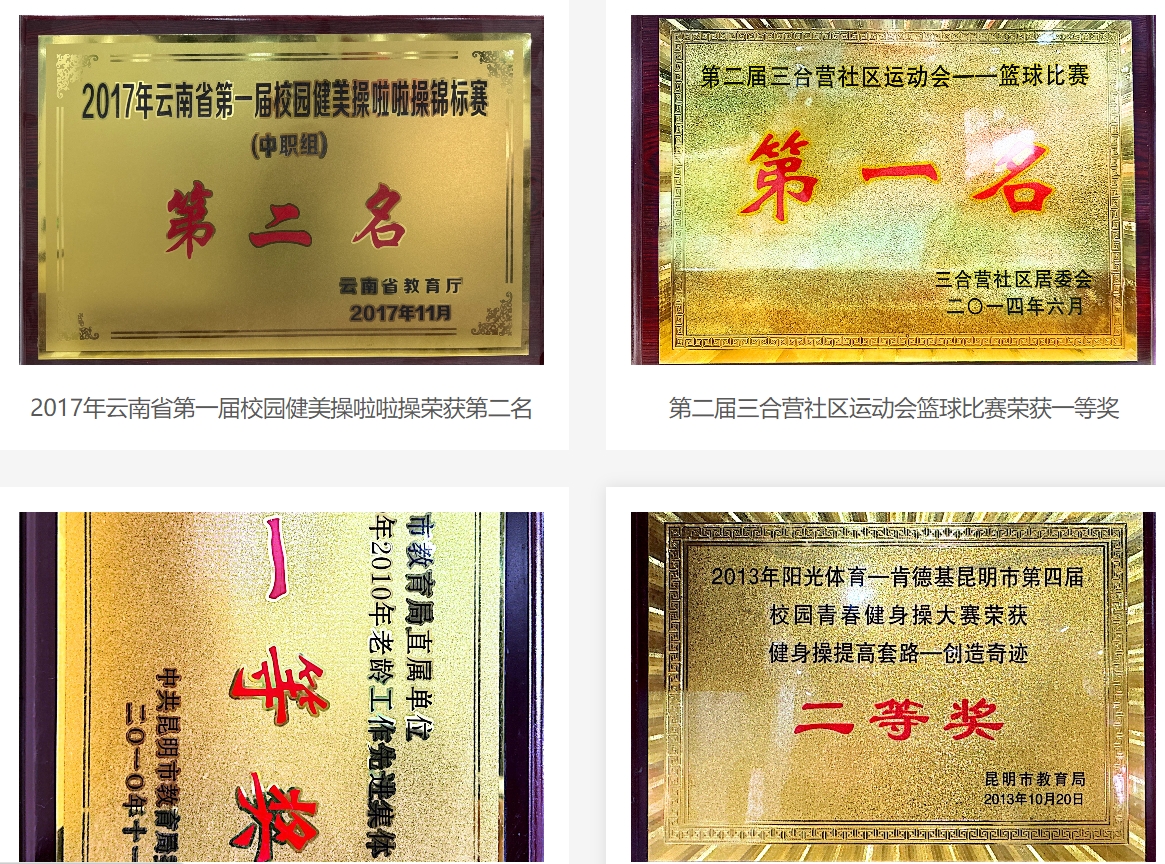 2025年昆明市旅游职业高级中学中专的评价：多元视角下的教育体验