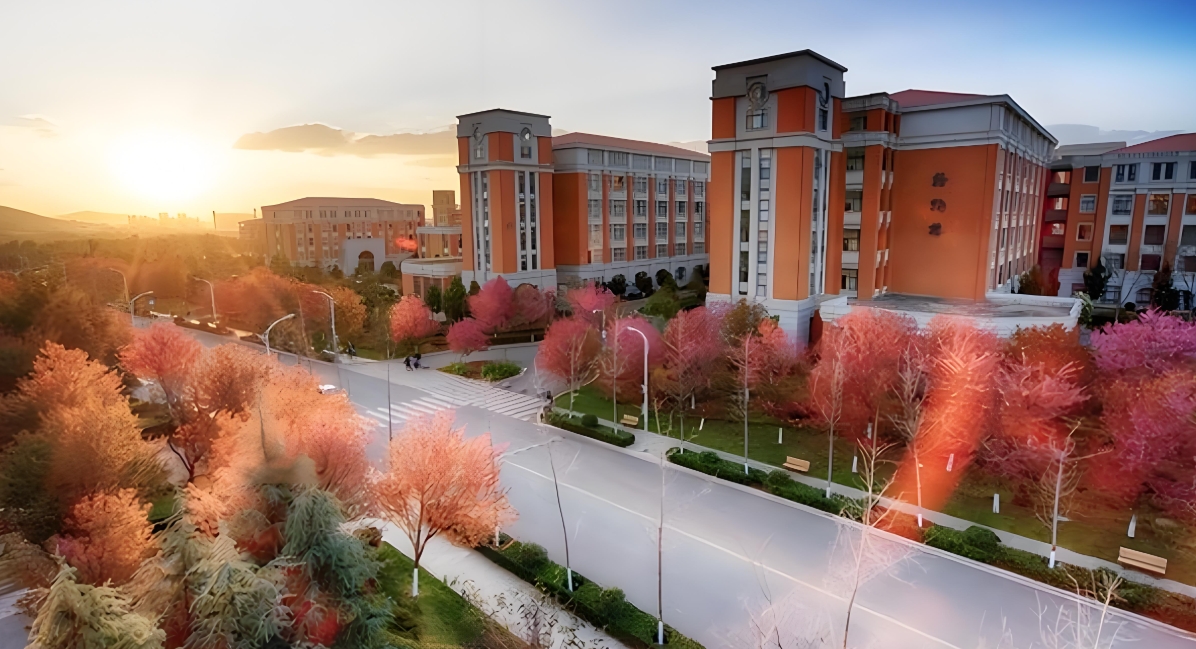 2025年昆明市旅游职业高级中学职教高考师资力量：教育质量的坚实保 障