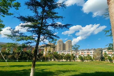 校园环境