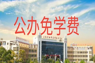 曲靖应用技术学校2025年（最新）收费标准