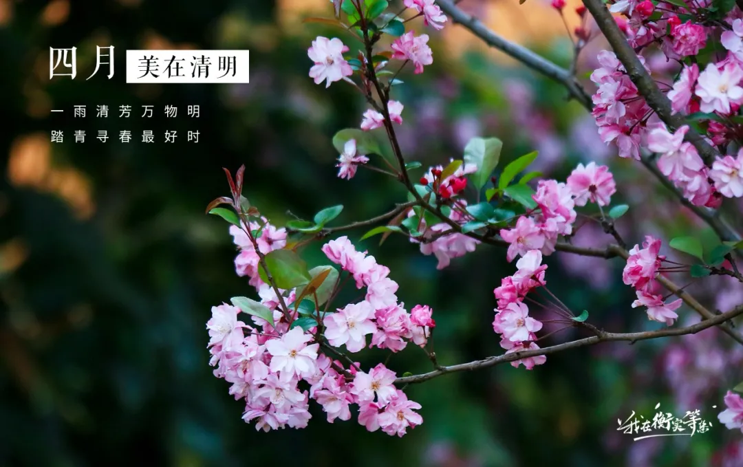 昆明金岸中学高考复读录取分数线_历年汇总